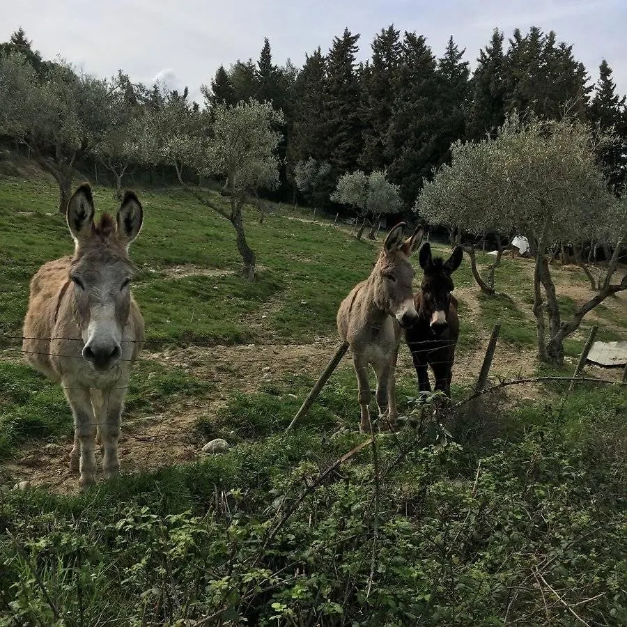 Appartamento Podere Del Botruccio Pomarance